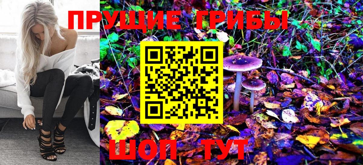 что такое   Вход с VPN  Североуральск  Галлюциногенные грибы Cubensis 