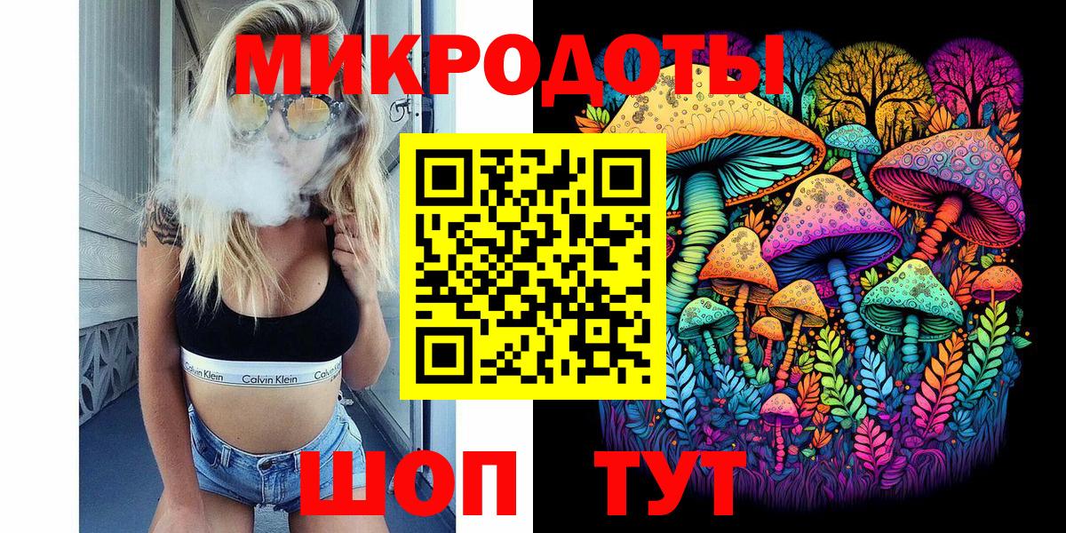 Галлюциногенные грибы Psilocybine cubensis Североуральск